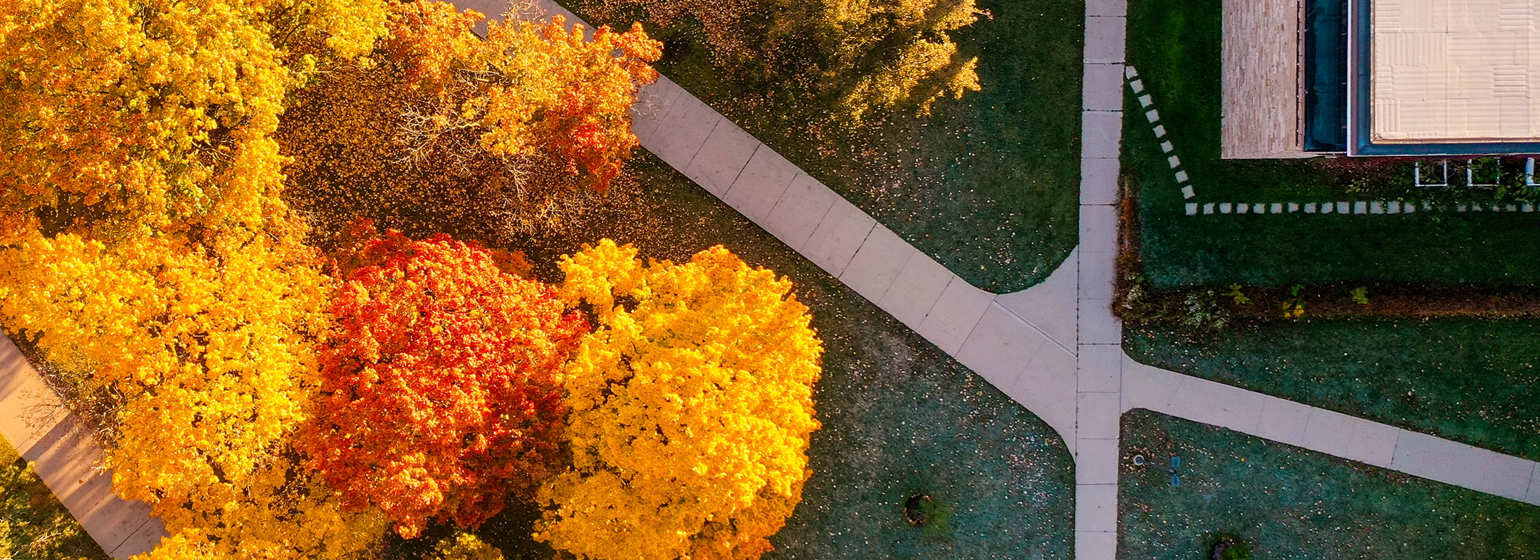 aerial of campus