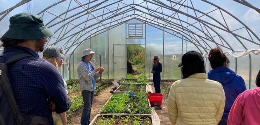 Regional gardening workshop (Sambaa K’e, June 2022). Photo courtesy of Julia Gyapay.