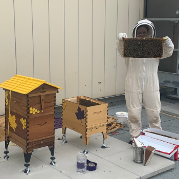 Beekeeper holding a hive.