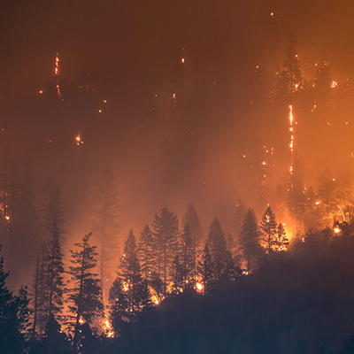 Wildfire