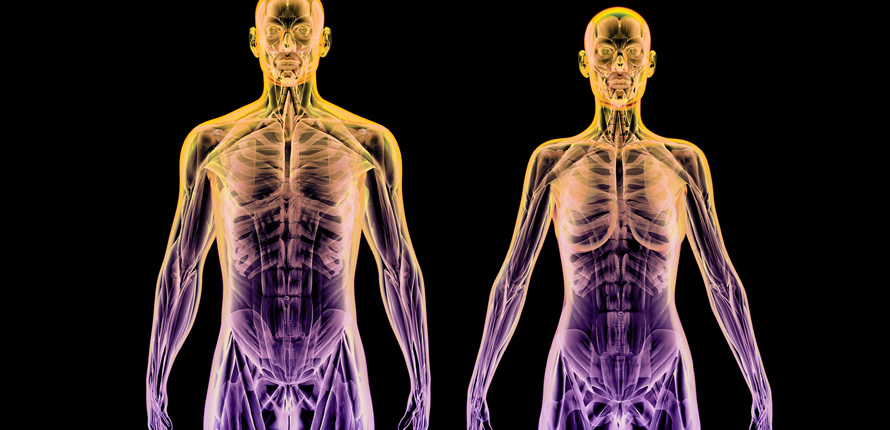 X-Rays of human bodies